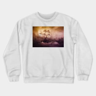 Hiding Crewneck Sweatshirt